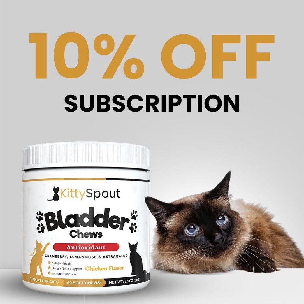 Bladder & Kidney Support Chews