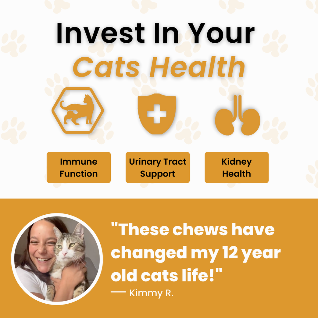 Bladder & Kidney Support Chews