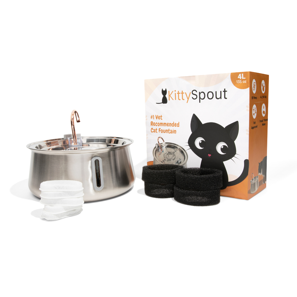 The KittySpout™ 2.0 - Health & Happiness Cat Kit