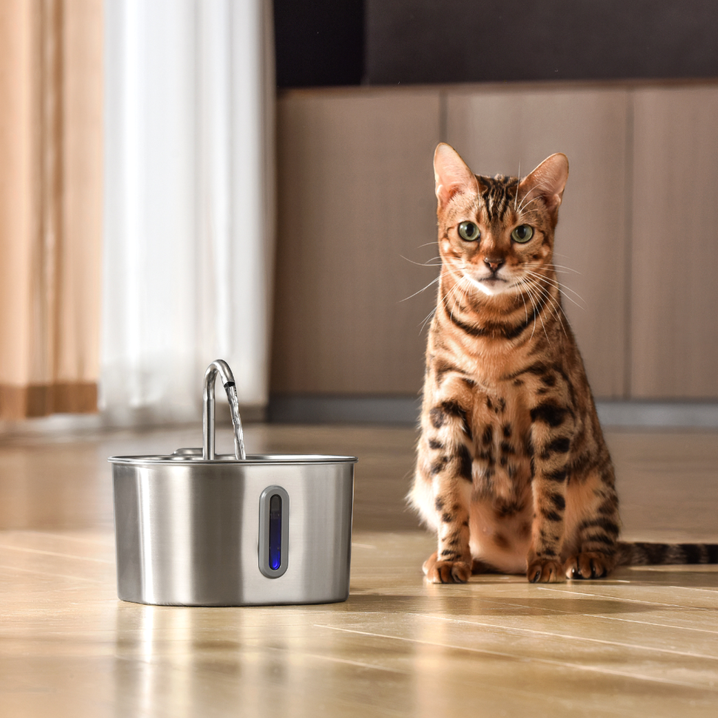 The KittySpout™ - 2.2L Big Cat Family Bundle
