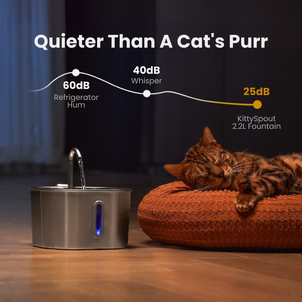 The KittySpout™ - 2.2L Purrrfect KittySpout Kit