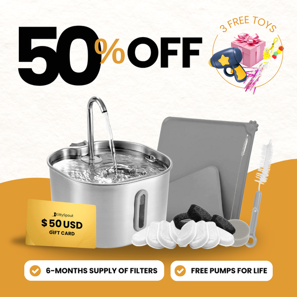 The KittySpout™ - 2.2L Value Bundle