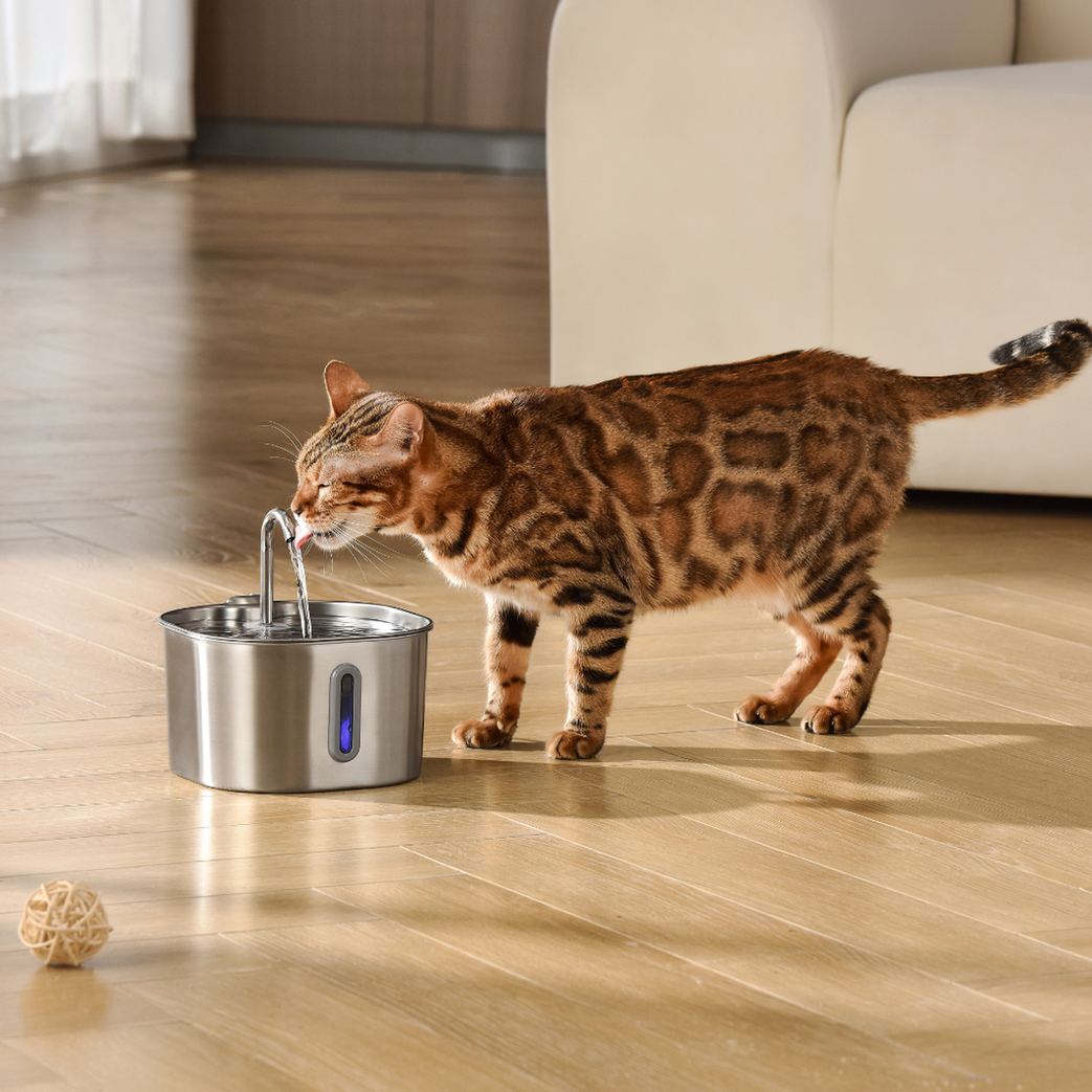 The KittySpout™ - 2.2L Value Bundle
