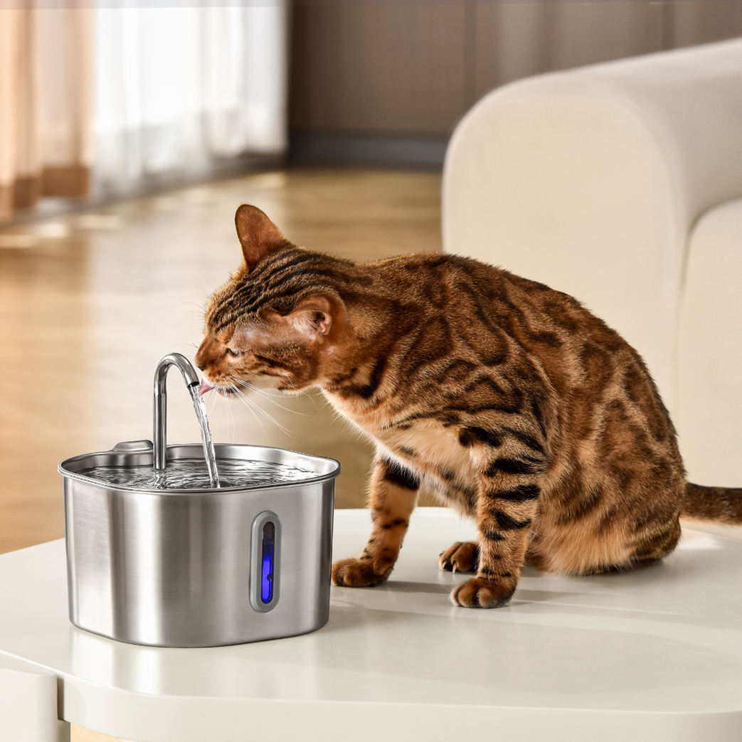 Wireless 2.0 & 2.2L Fountain Filters