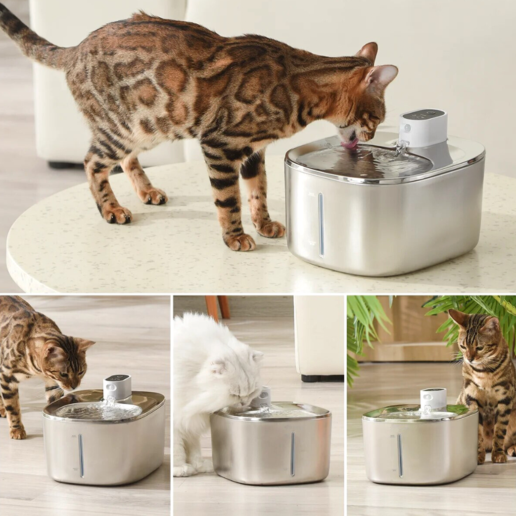 Wireless KittySpout Replacement Filters