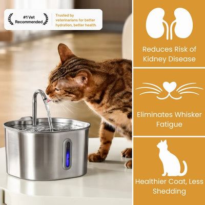 The KittySpout™ - 2.2L Fountain Health and Happiness Kit
