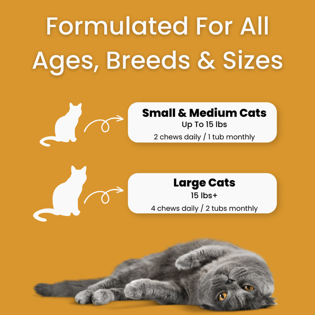 Bladder & Kidney Support Chews