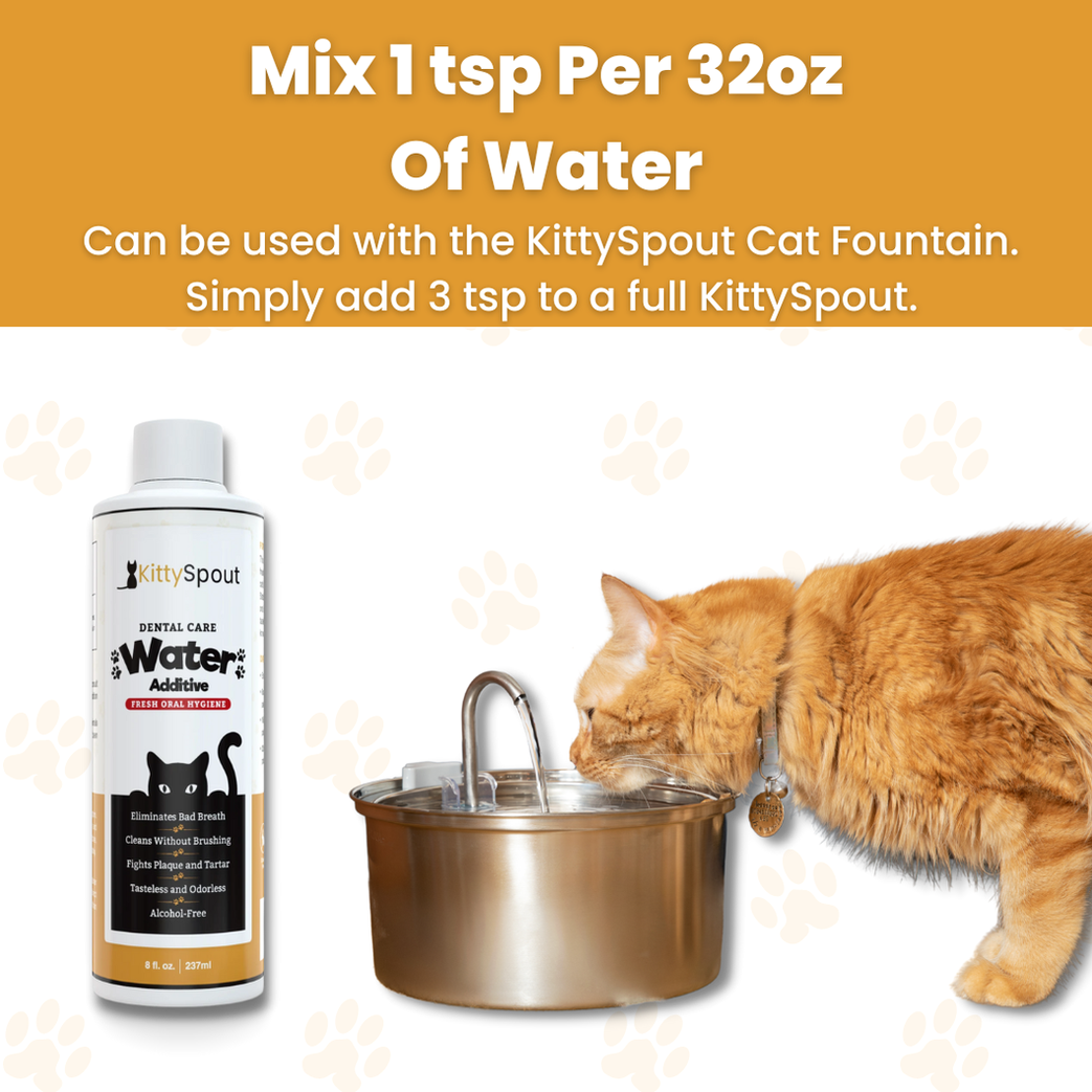 Dental Care Water Additive