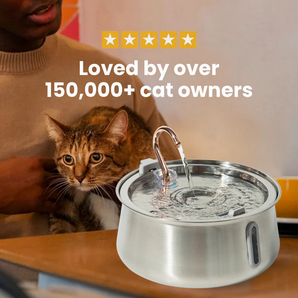 The KittySpout™ 2.0 - Health & Happiness Cat Kit