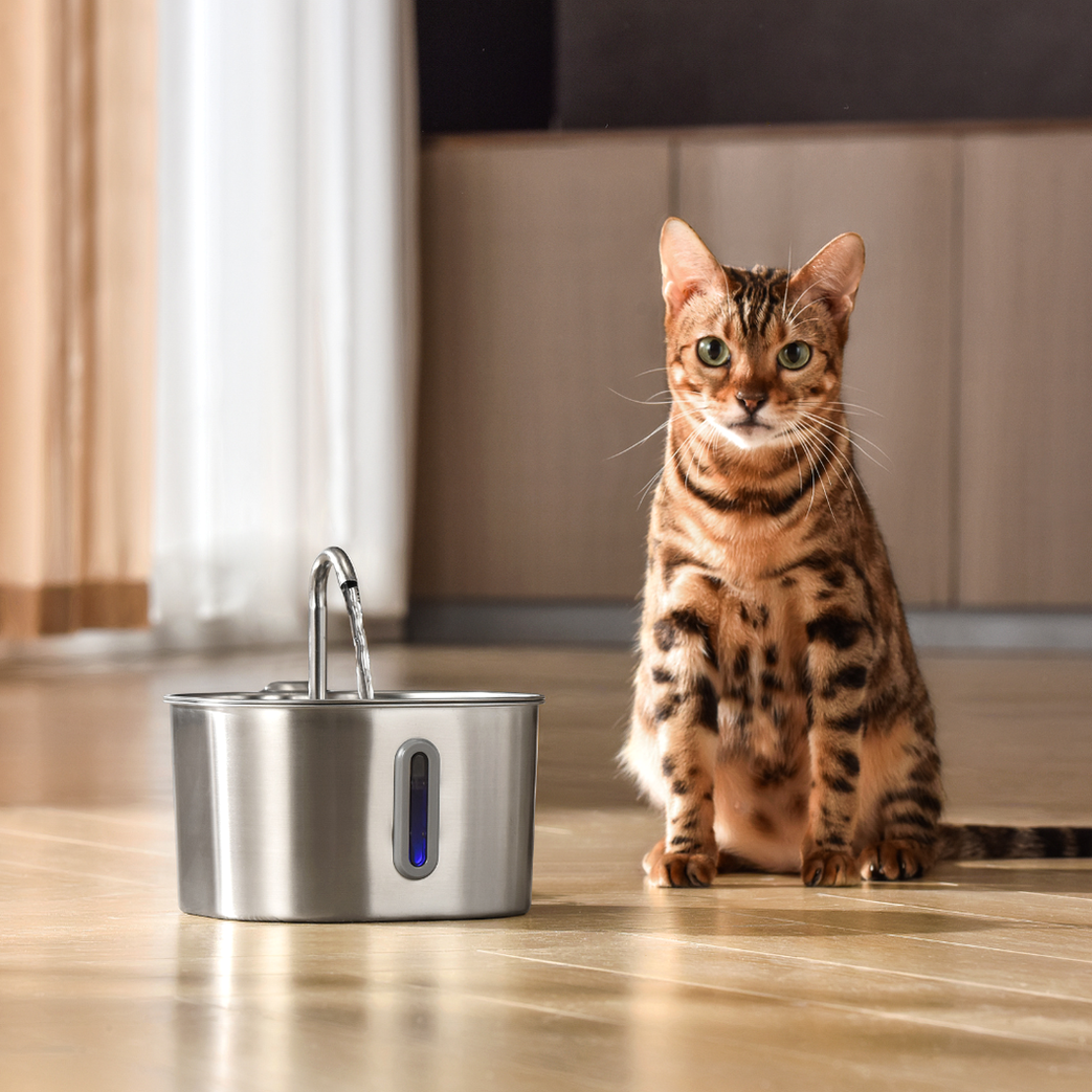 KittySpout™ - Water Pump for 2.2L