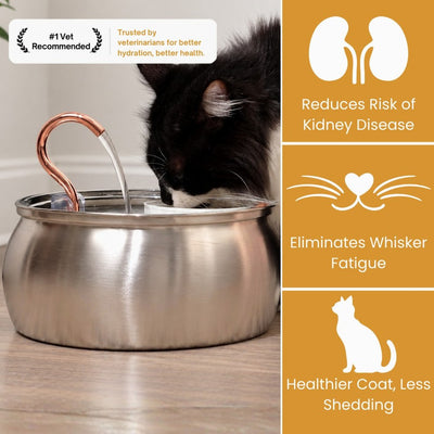 The KittySpout™ - Health & Happiness Cat Kit