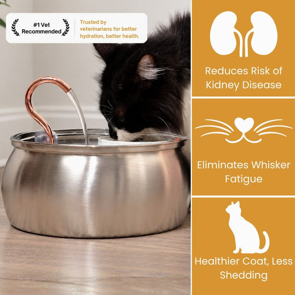 The KittySpout™ - Health & Happiness Cat Kit