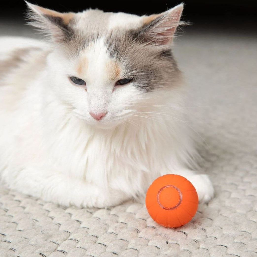The KittyBall™ - Smart Cat Ball