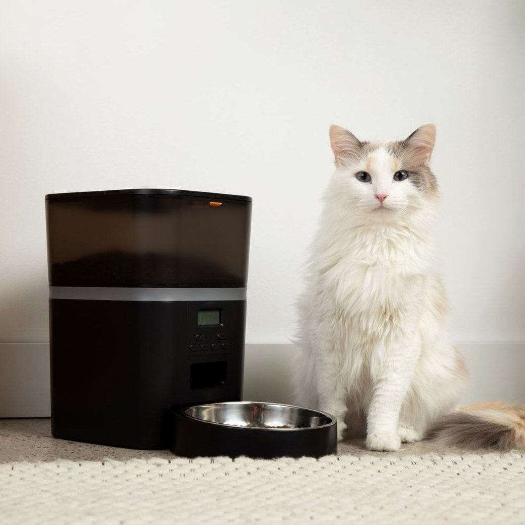 The KittyFeeder™ - Automatic Cat Feeder
