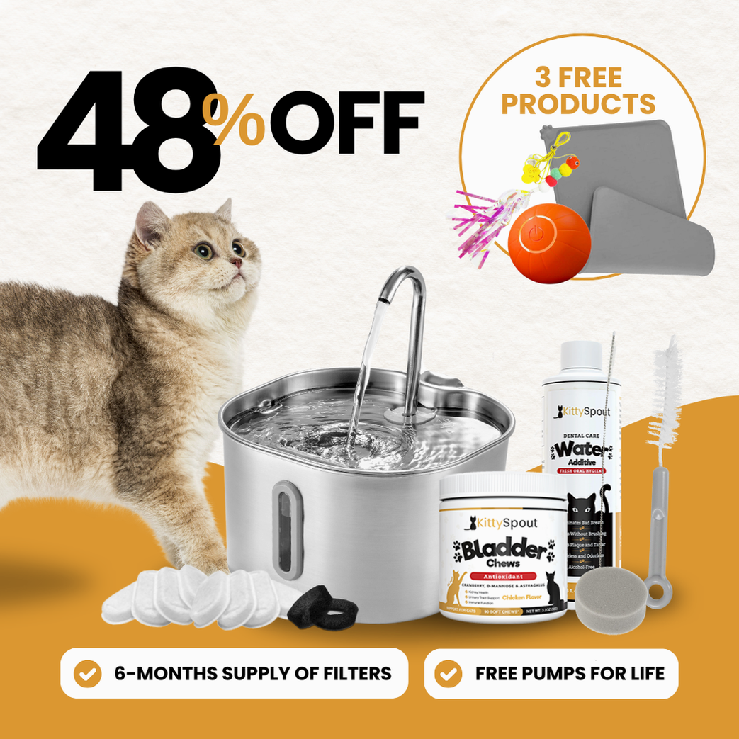 The KittySpout™ - 2.2L Hydration & Health Bundle
