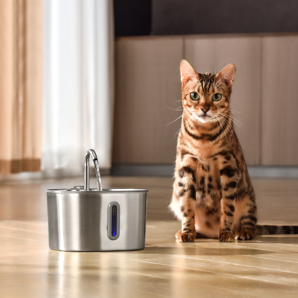 The KittySpout™ - 2.2L Hydration & Health Bundle