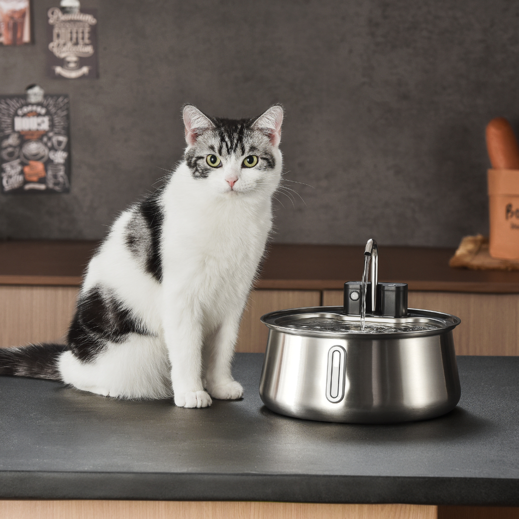 The KittySpout™ - Water Spout for Wireless 2.0 / 2.2L