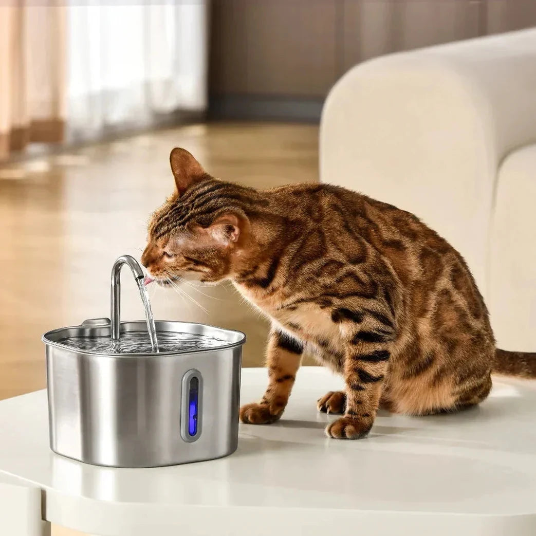The KittySpout™ - Water Spout for Wireless 2.0 / 2.2L