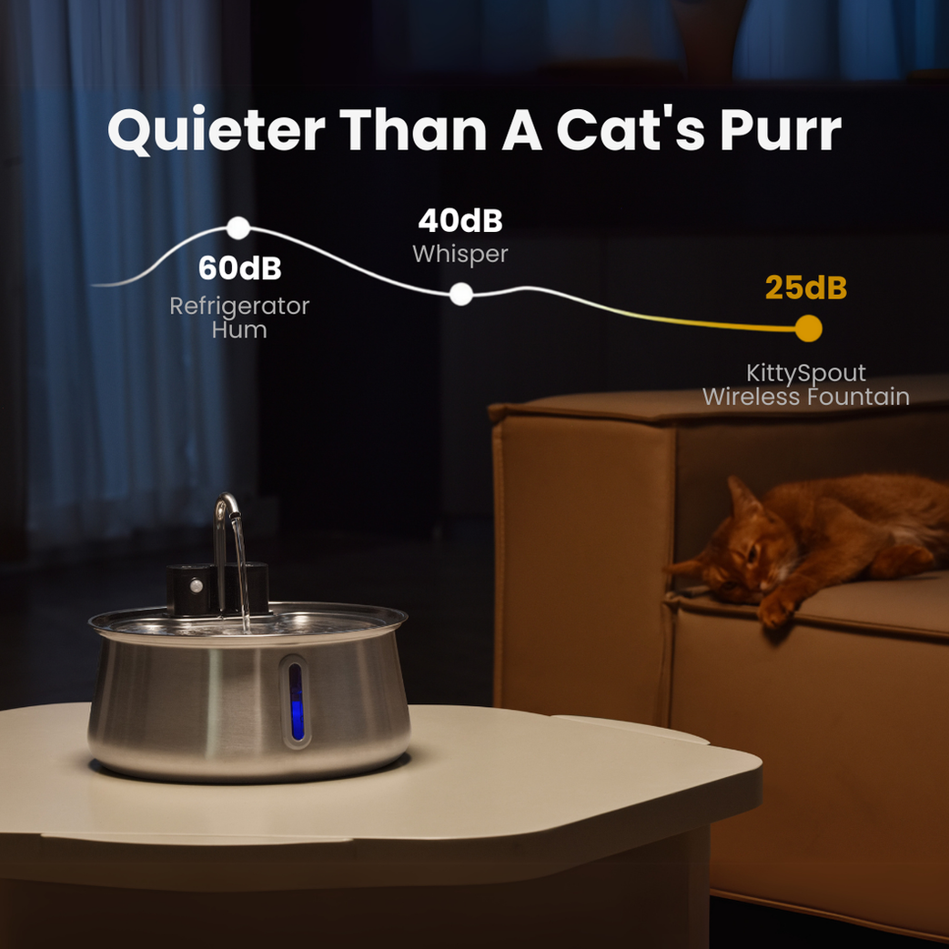 Wireless 2.0 KittySpout Value Bundle