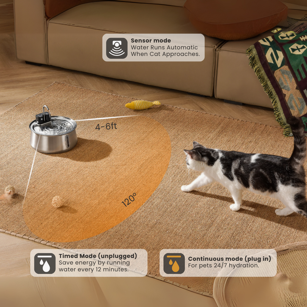 Wireless 2.0 Purrr-fect KittySpout Kit