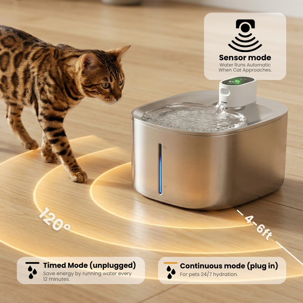 Wireless Hydration & Health Bundle